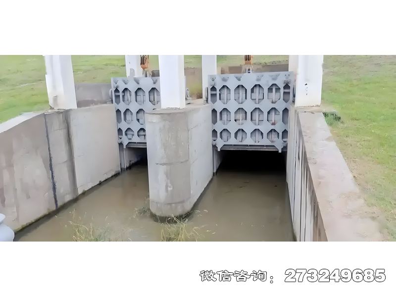 咸宁内涝防治泵站闸门