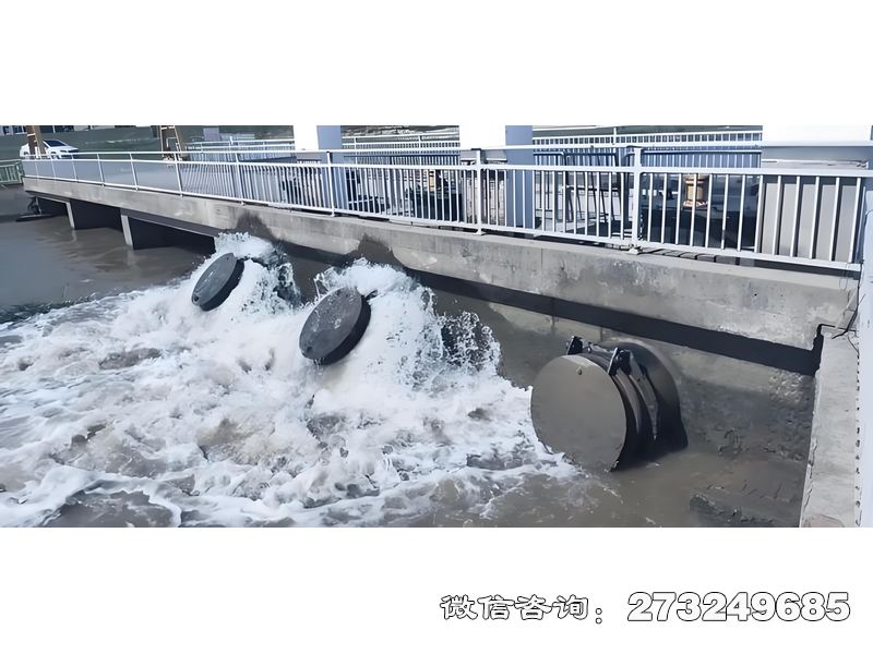 福清内河潮门拍门
