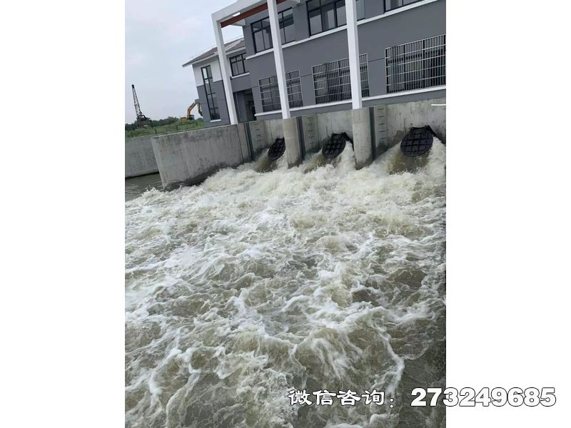 福清防潮堤潮门拍门
