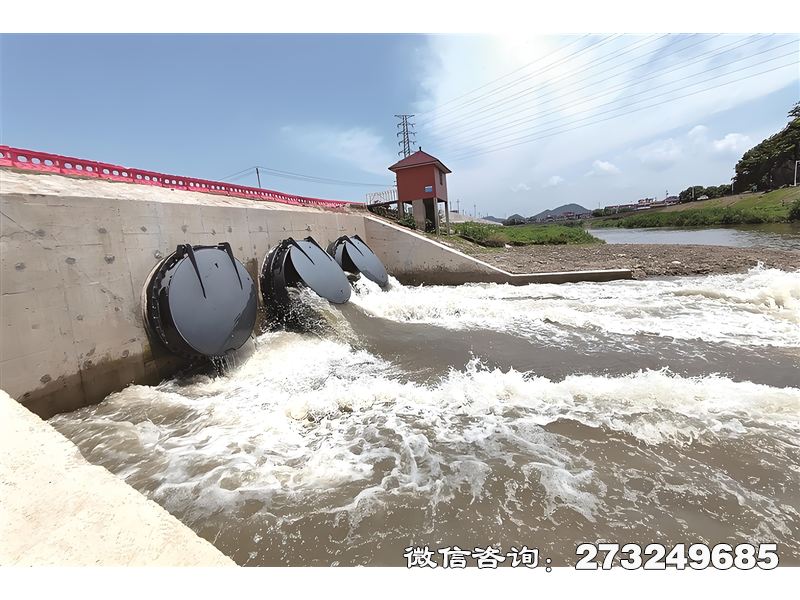 福清蓄滞洪区潮门拍门