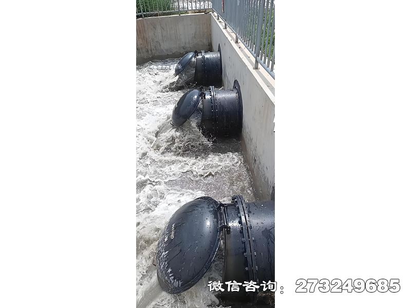 福清污水处理厂潮门拍门