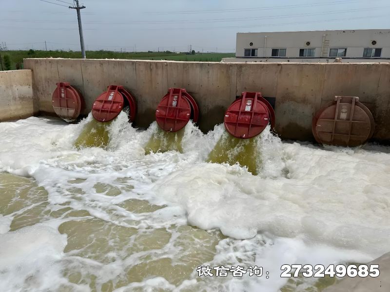 青海省河口整治工程潮门拍门