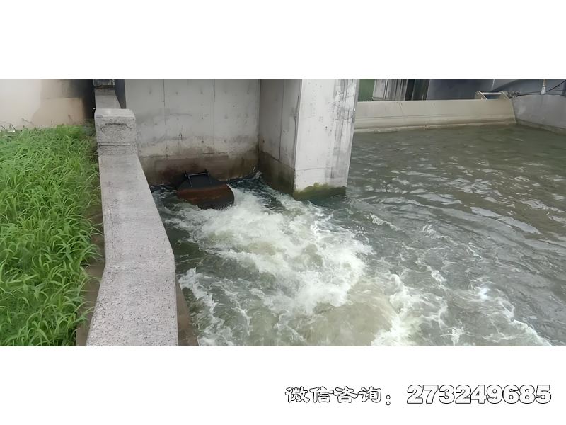 青海省海塘防潮闸潮门拍门