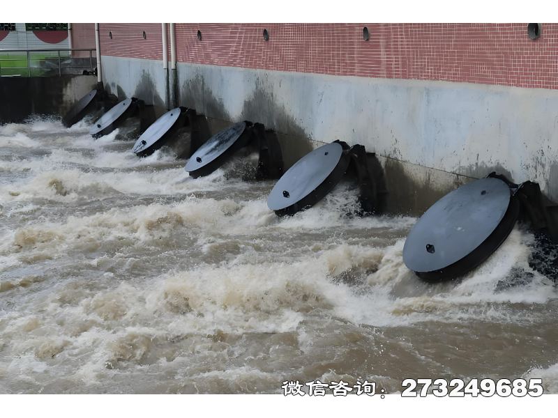 青海省灌溉渠首水闸潮门拍门