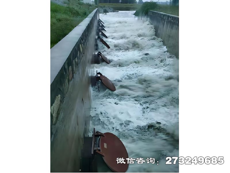 青海省进出口潮门拍门