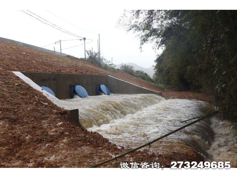 青海省堤坝防潮拍门