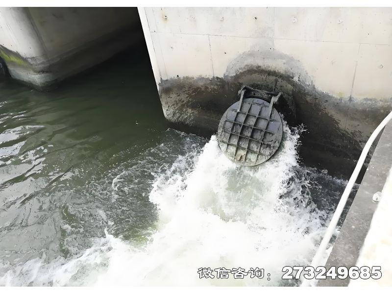 青海省海洋防潮堤拍门