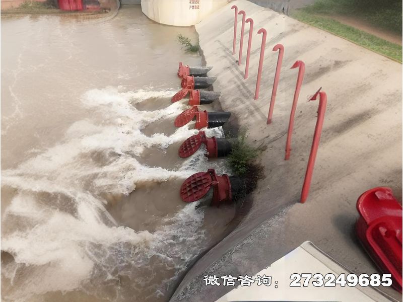 北京海水生态防潮拍门