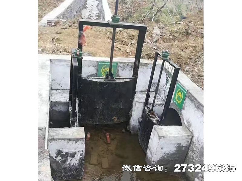 焉耆回族自治县分水灌渠机闸一体闸门
